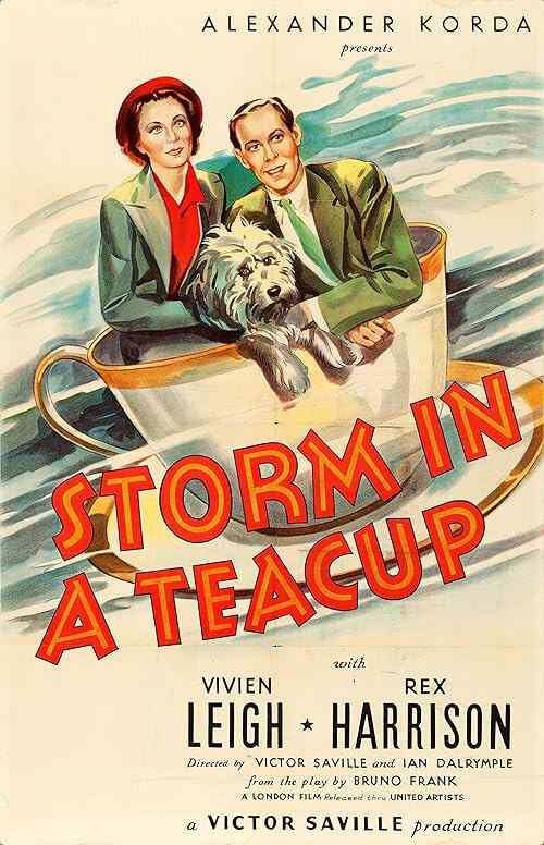 Storm in a Teacup poster