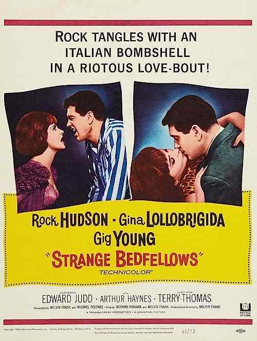 Strange Bedfellows poster