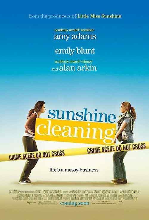 Sunshine Cleaning poster