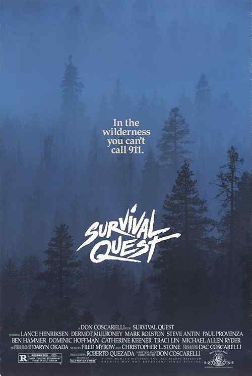 Survival Quest poster