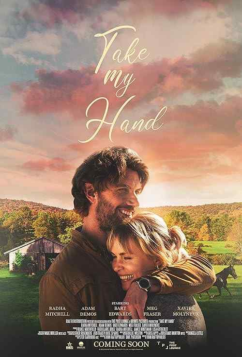 Take My Hand poster