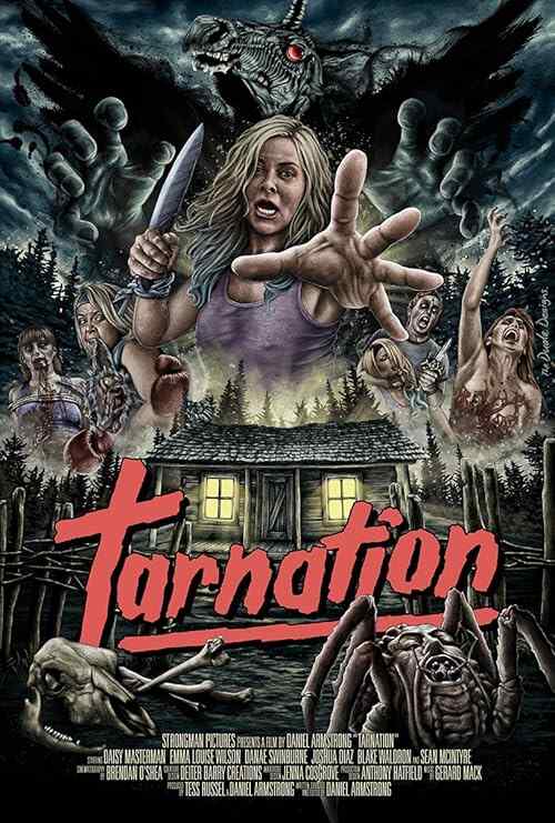 Tarnation poster