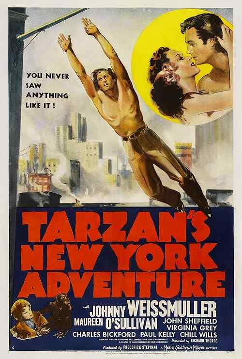 Tarzan's New York Adventure poster