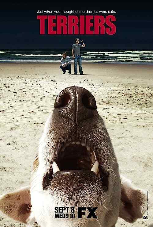 Terriers poster