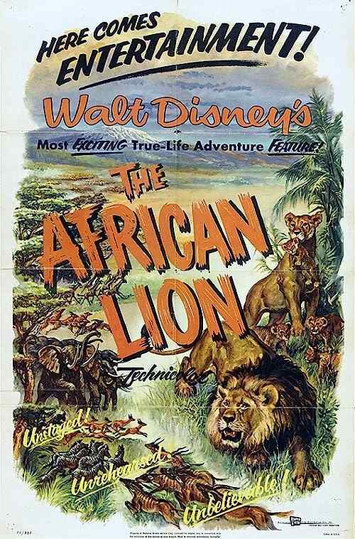 The African Lion poster