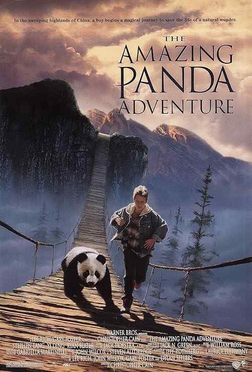 The Amazing Panda Adventure poster