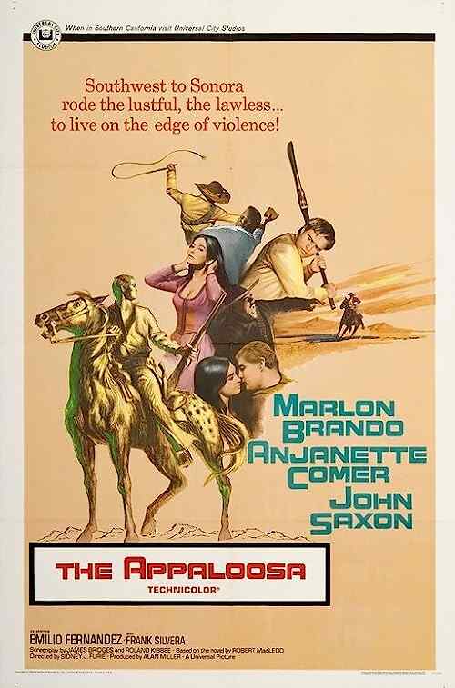 The Appaloosa poster