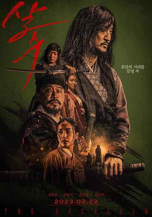 The Assassin poster