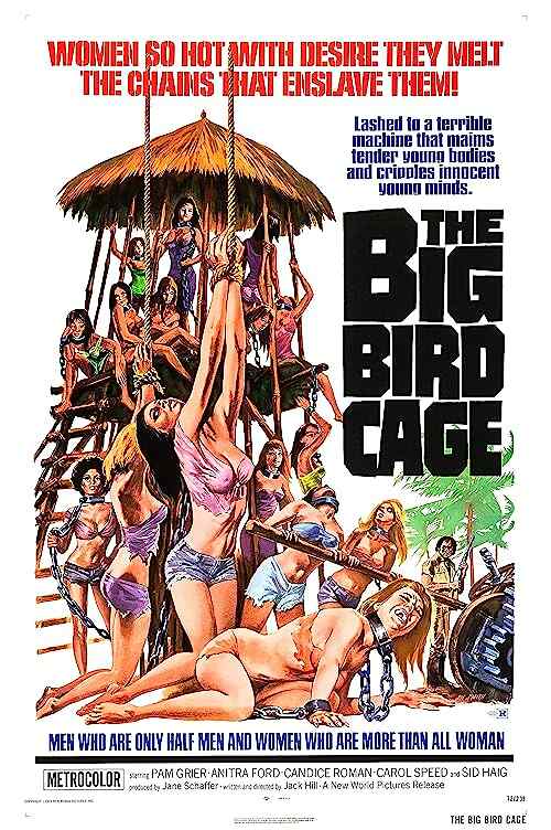 The Big Bird Cage poster