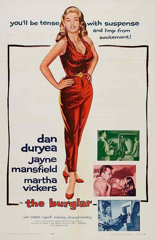 The Burglar poster