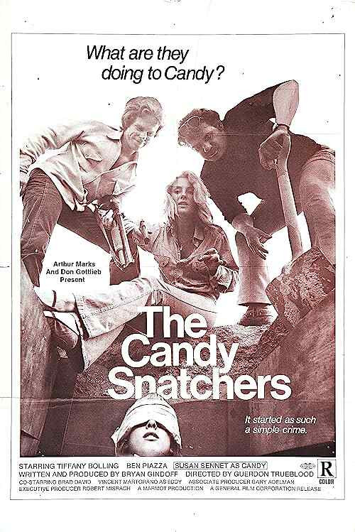 The Candy Snatchers poster