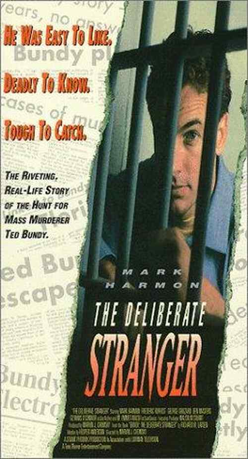 The Deliberate Stranger poster