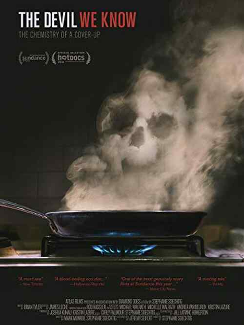 The Devil We Know poster
