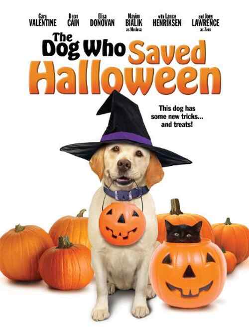 The Dog Who Saved Halloween poster