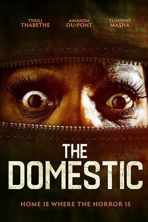 The Domestic poster