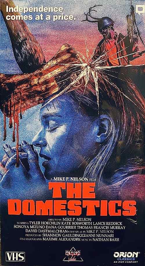 The Domestics poster
