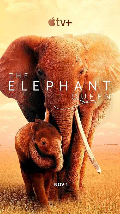 The Elephant Queen poster