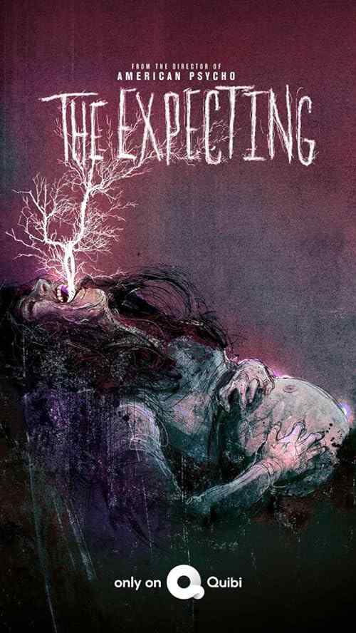 The Expecting poster