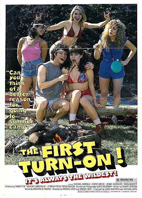 The First Turn On!! poster