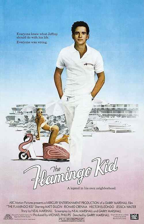 The Flamingo Kid poster