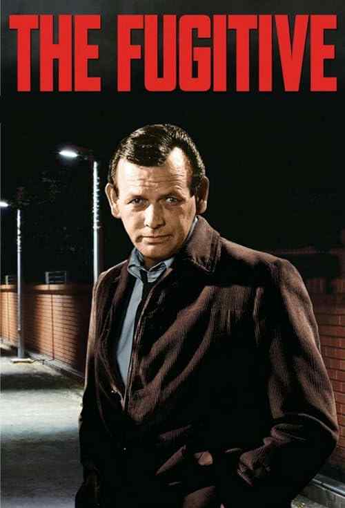 The Fugitive poster