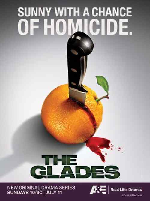 The Glades poster