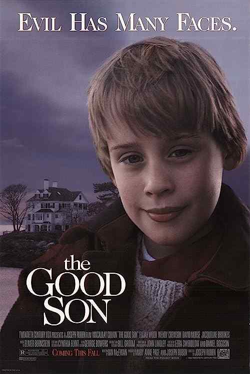 The Good Son poster