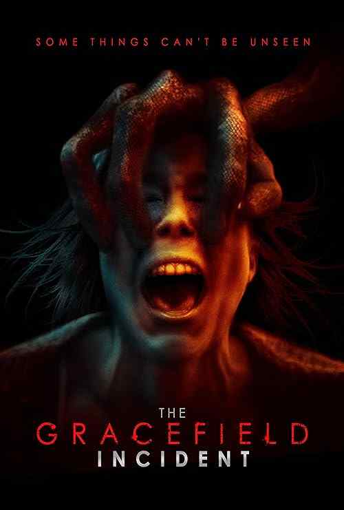 The Gracefield Incident poster