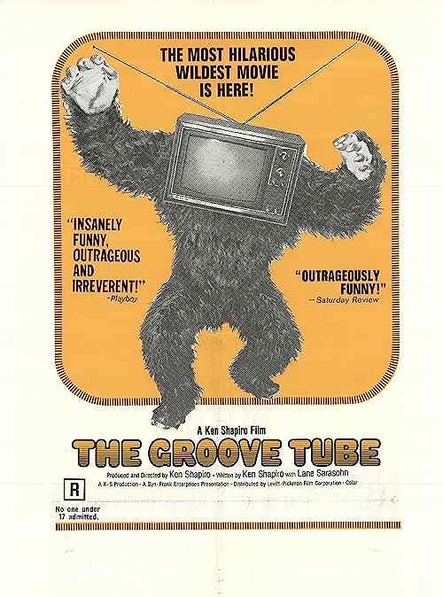 The Groove Tube poster