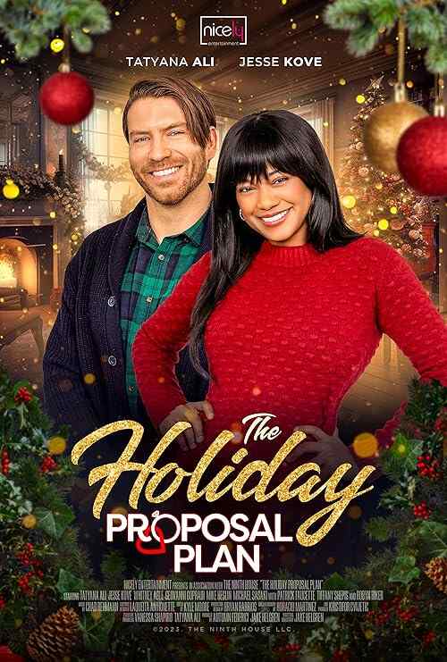 The Holiday Proposal Plan poster