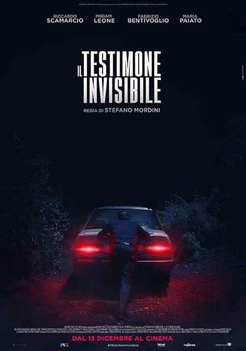 The Invisible Witness poster