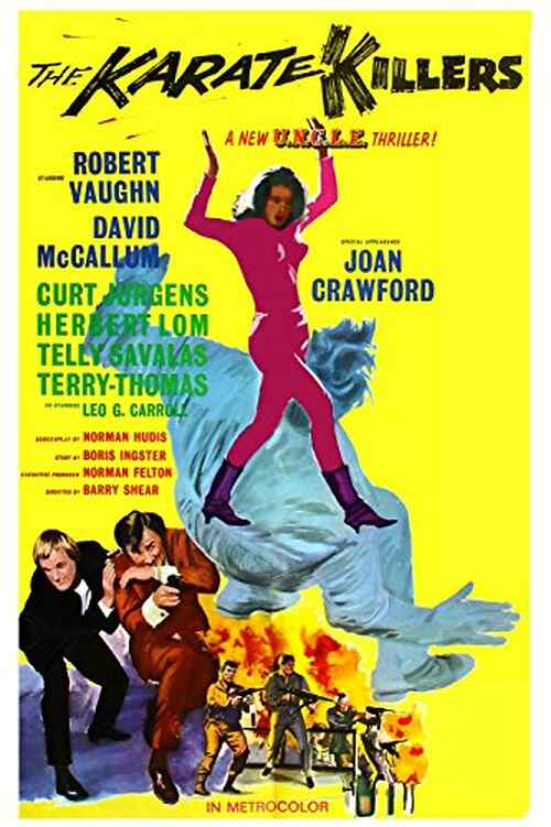 The Karate Killers poster