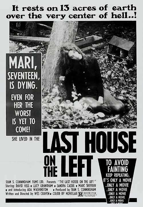 The Last House on the Left poster