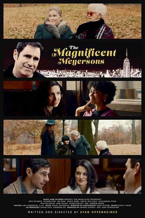 The Magnificent Meyersons poster