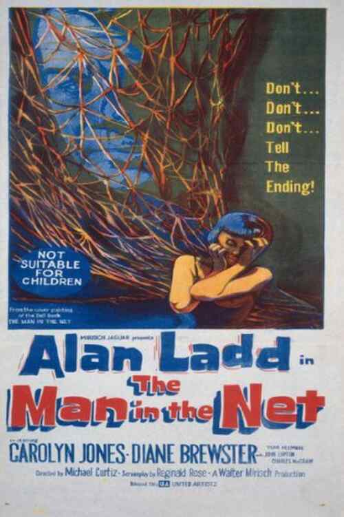 The Man in the Net poster