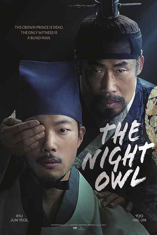 The Night Owl poster