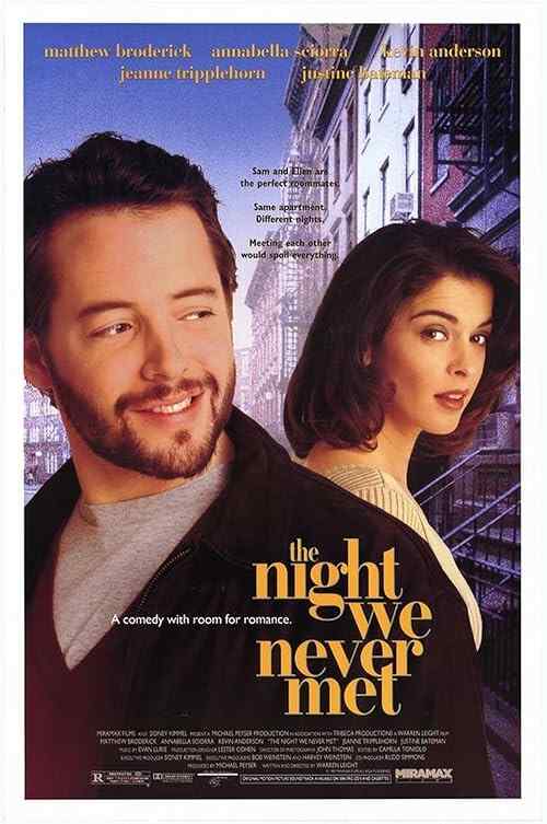 The Night We Never Met poster