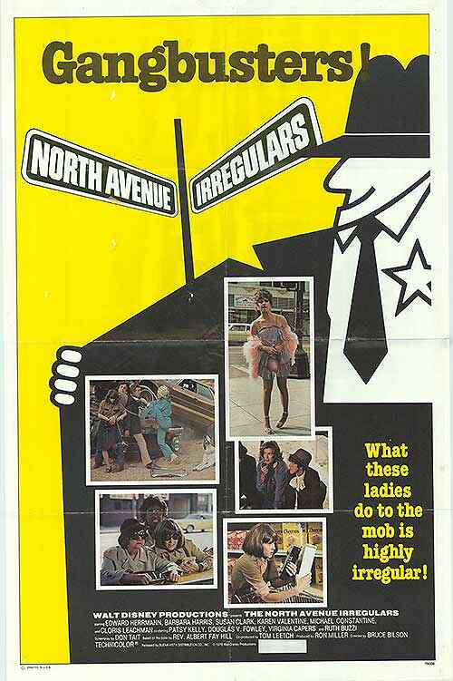 The North Avenue Irregulars poster
