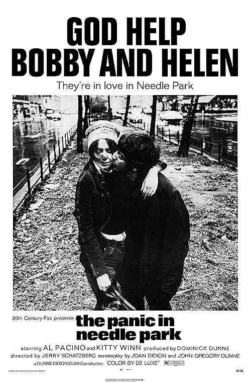 The Panic in Needle Park poster