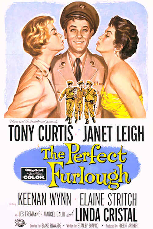 The Perfect Furlough poster