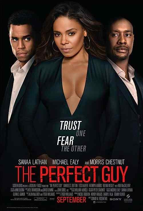 The Perfect Guy poster