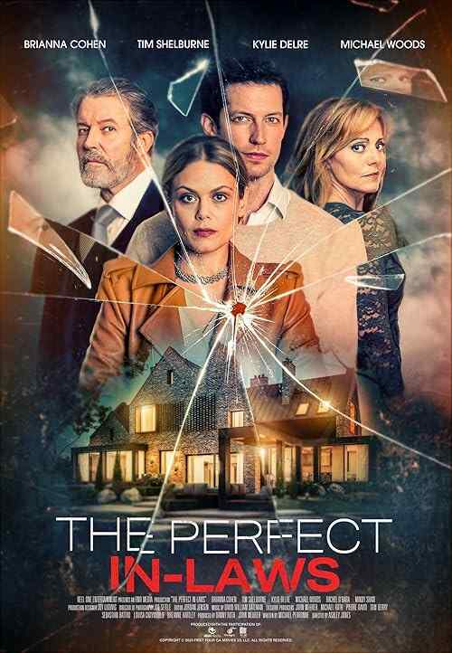 The Perfect In-Laws poster