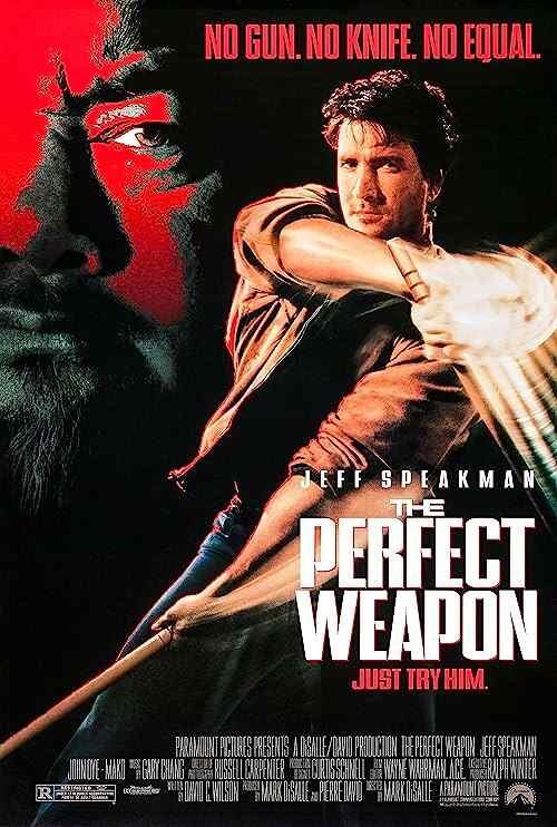 The Perfect Weapon poster