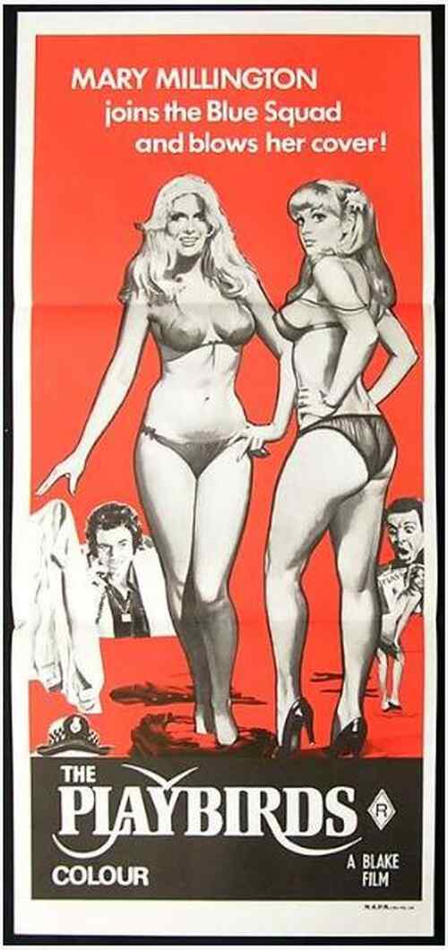 The Playbirds poster