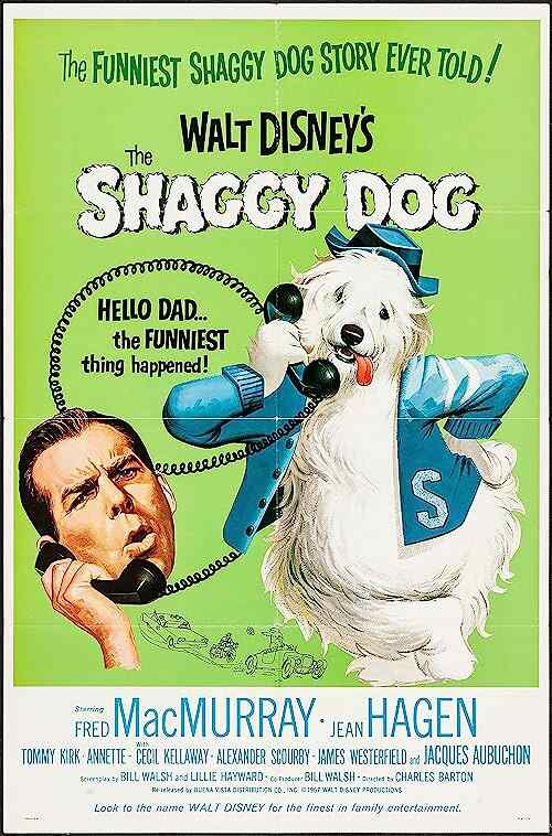 The Shaggy Dog poster