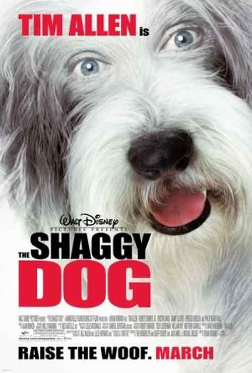 The Shaggy Dog poster