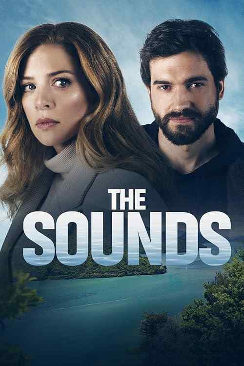 The Sounds poster