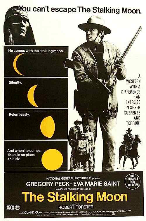 The Stalking Moon poster
