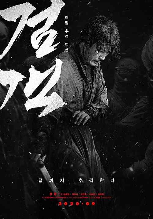 The Swordsman poster