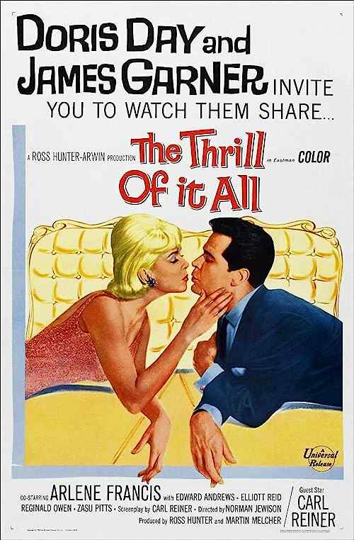 The Thrill of It All poster
